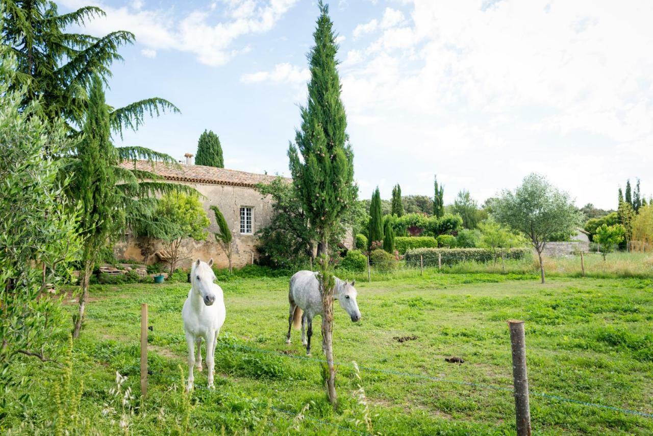 Mas de la Rivoire B&B Villevieille Extérieur photo